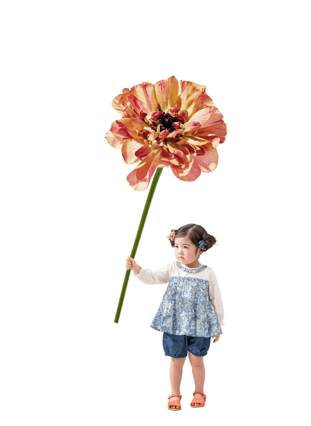 SENSE OF WONDER 2024 SPRING COLLECTION