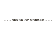 sence of wonder